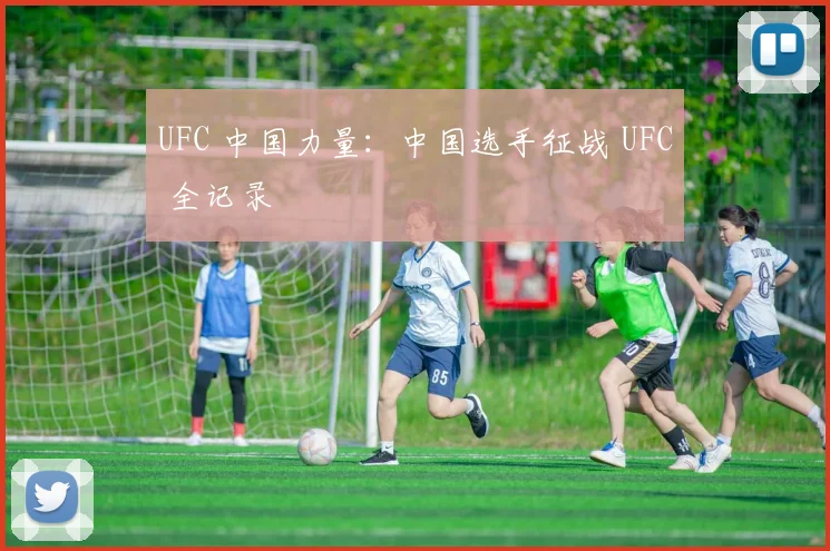 UFC 中国力量：中国选手征战 UFC 全记录