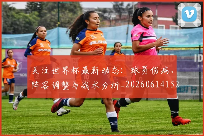 关注世界杯最新动态：球员伤病、阵容调整与战术分析_20260614152107